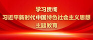 老女人肥屄学习贯彻习近平新时代中国特色社会主义思想主题教育_fororder_ad-371X160(2)